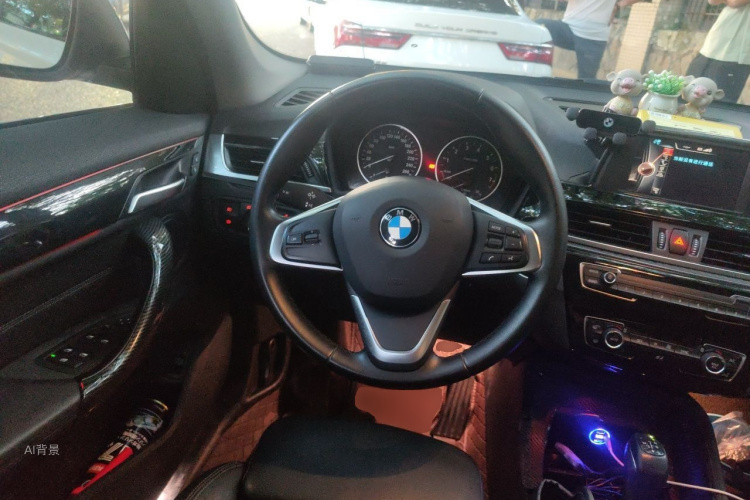 BMW X1 2017 #12 BMW X1 2017 immagine di auto #12