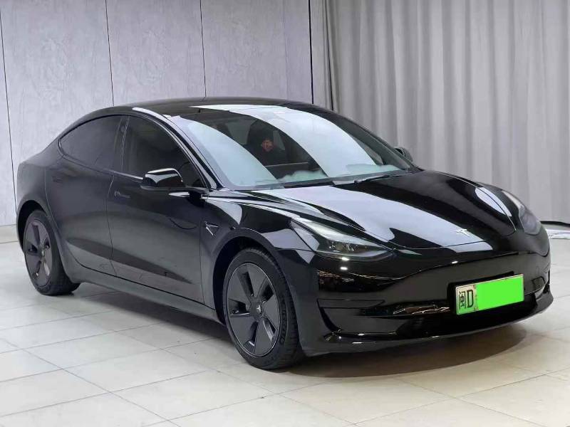 Tesla Model 3 2023 #3 Tesla Model 3 2023 car image #3