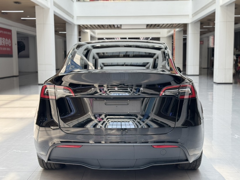 Tesla Model Y 2023 car image #6