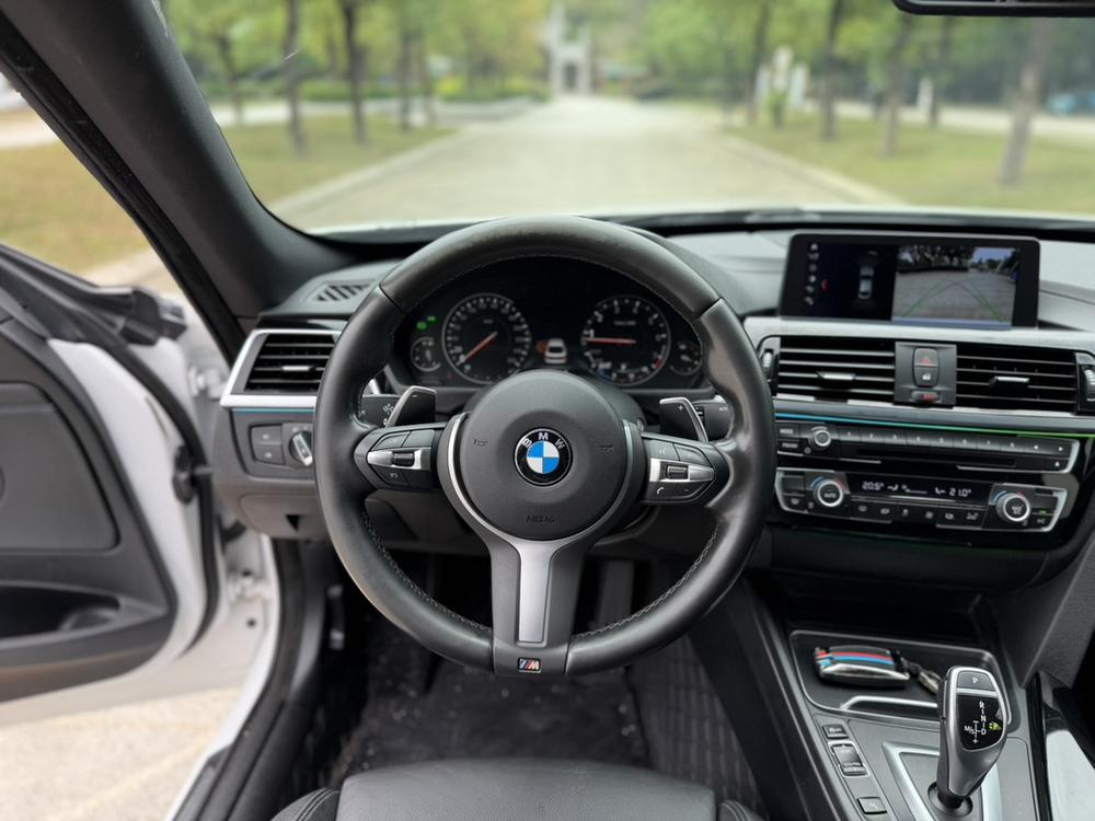 BMW 3 Series GT 2019 car image #12