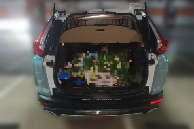 Honda CR-V 2019 #21 Honda CR-V 2019 car image #21