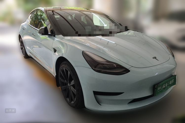 Tesla Model 3 2021 car image #4