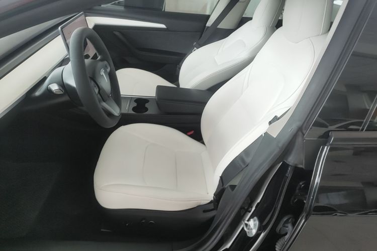 Tesla Model 3 2002 #19 Tesla Model 3 2002 car image #19