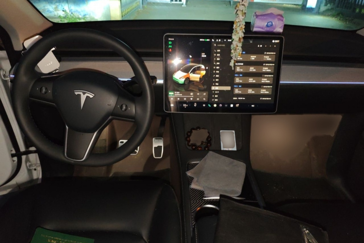 Tesla Model Y 2024 car image #12