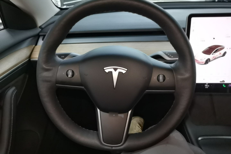 Tesla Model 3 2021 #11 Tesla Model 3 2021 car image #11