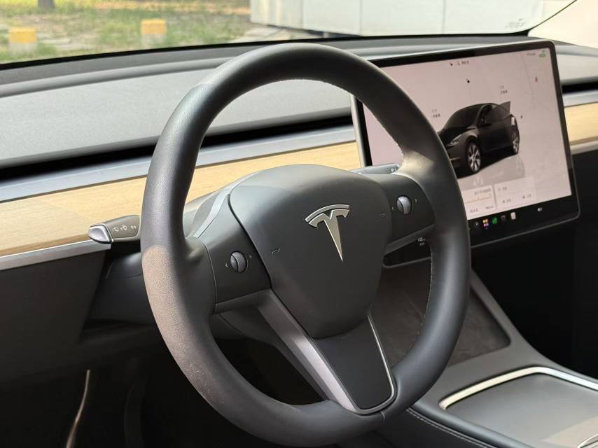 Tesla Model Y 2022 car image #6