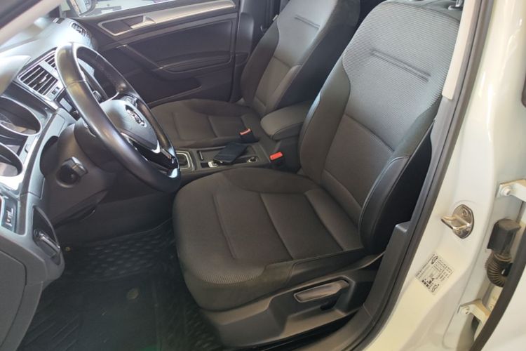 Volkswagen Golf 2019 car image #15