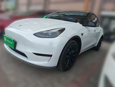 Tesla Model Y 2024 car image 