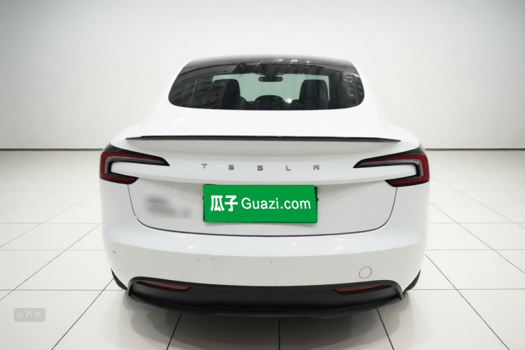 Tesla Model 3 2024 car image #6