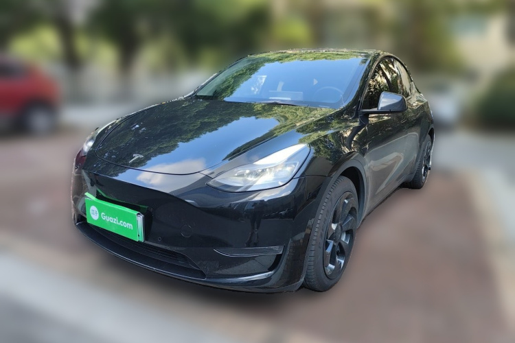Tesla Model Y 2021 #2 Tesla Model Y 2021 car image #2