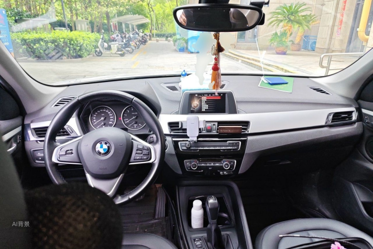 BMW X1 2017 car image #11