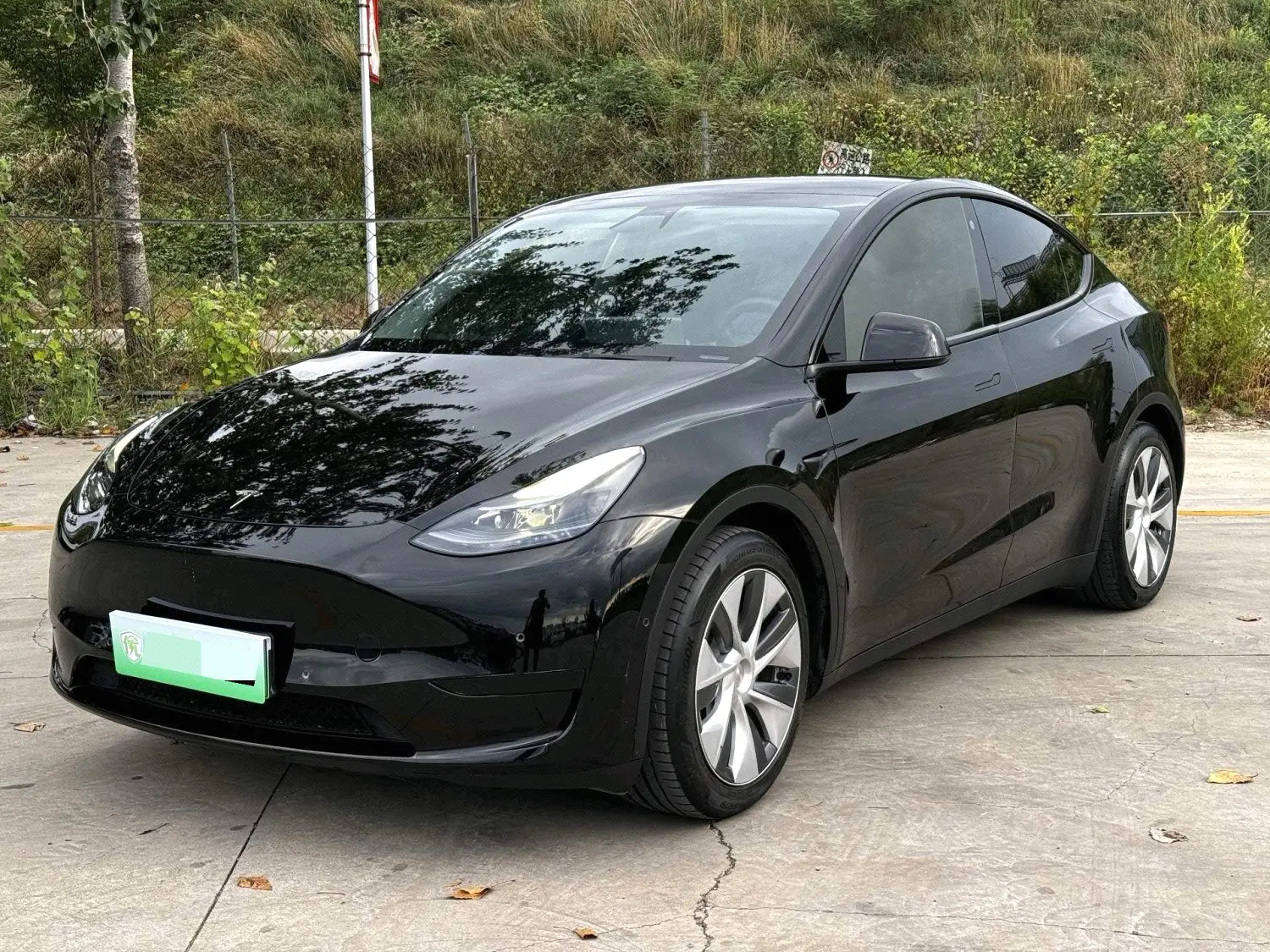 Tesla Model Y 2022 Tesla Model Y 2022 car image