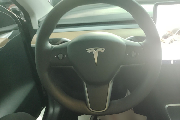 Tesla Model Y 2021 #11 Tesla Model Y 2021 car image #11