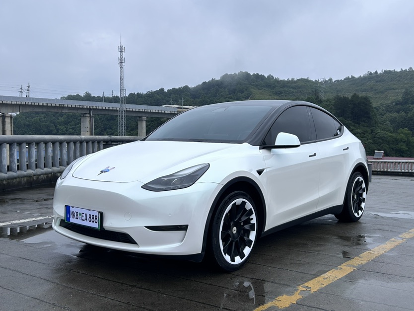 Tesla Model Y 2021 #3 Tesla Model Y 2021 car image #3