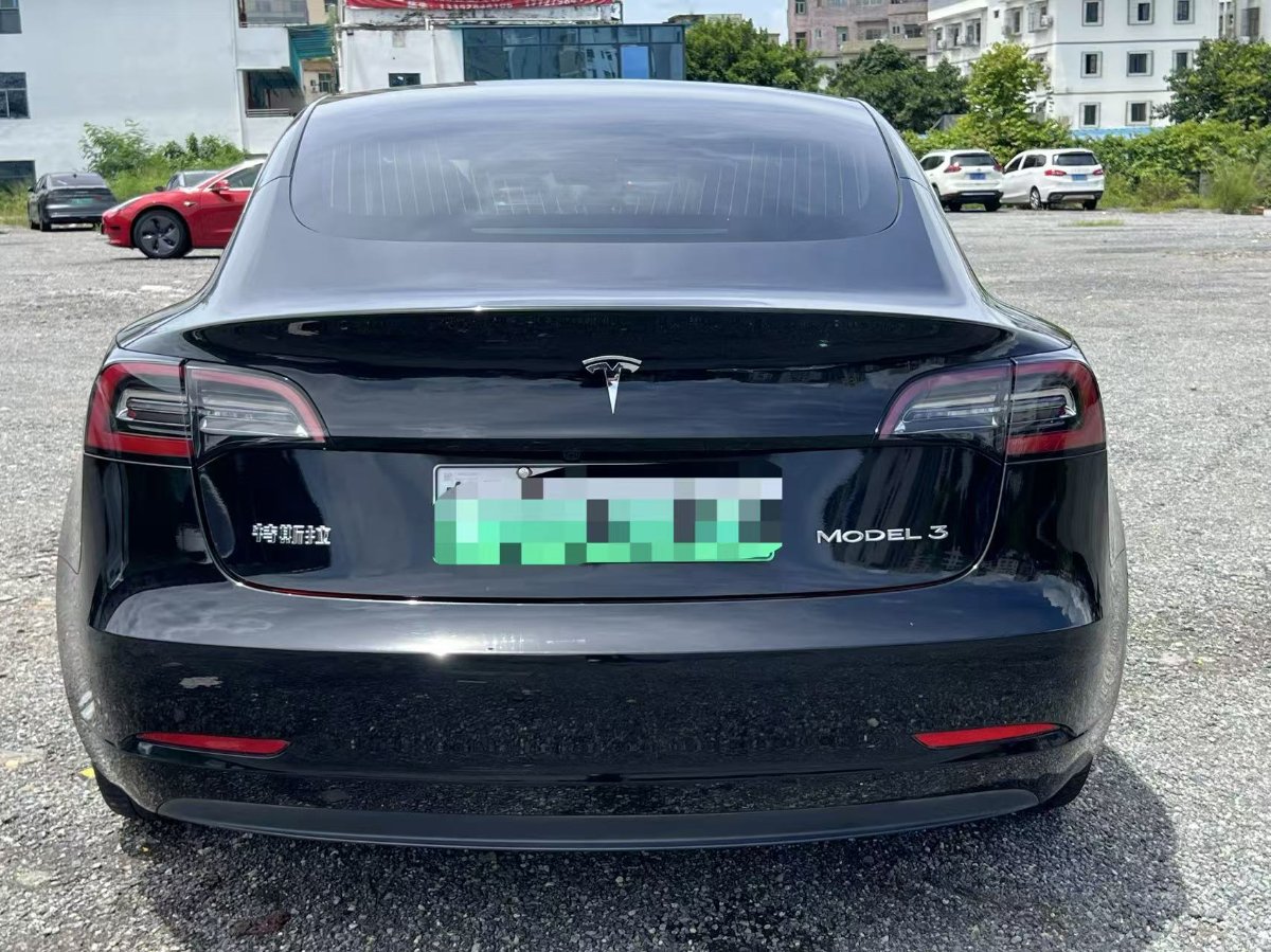Tesla Model 3 2020 #6 Tesla Model 3 2020 car image #6