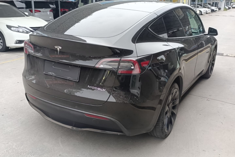 Tesla Model Y 2021 #7 Tesla Model Y 2021 car image #7