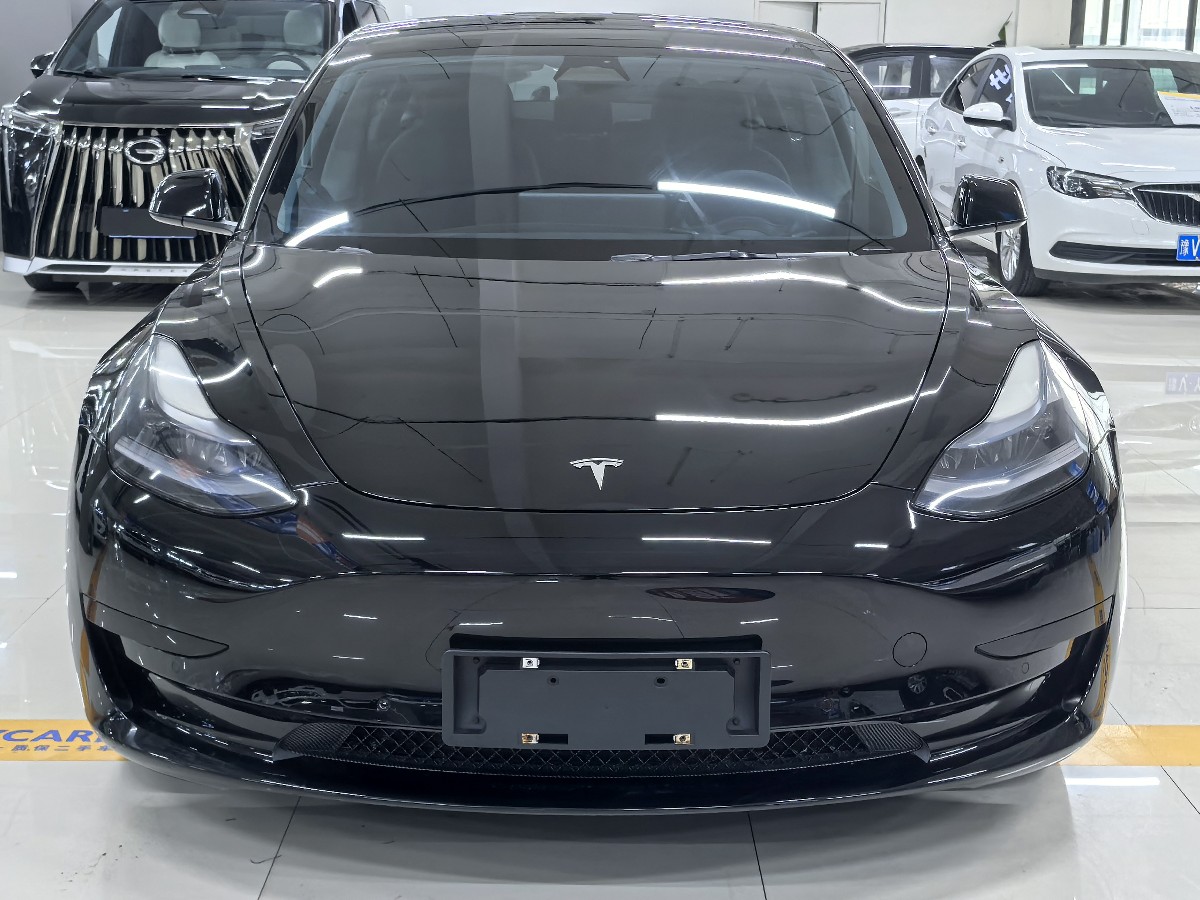 Tesla Model 3 2022 #2 Tesla Model 3 2022 car image #2