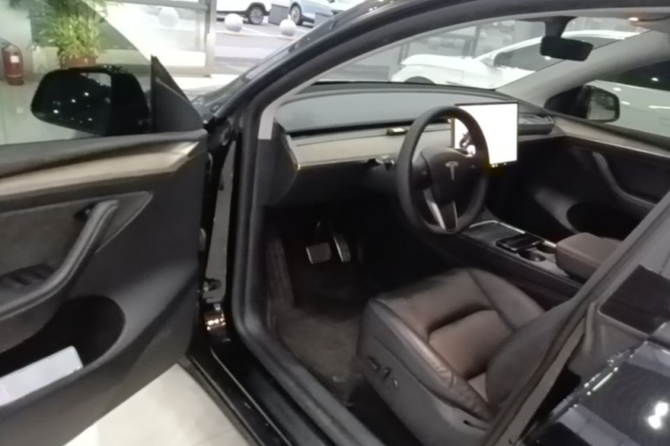 Tesla Model Y 2021 car image #16