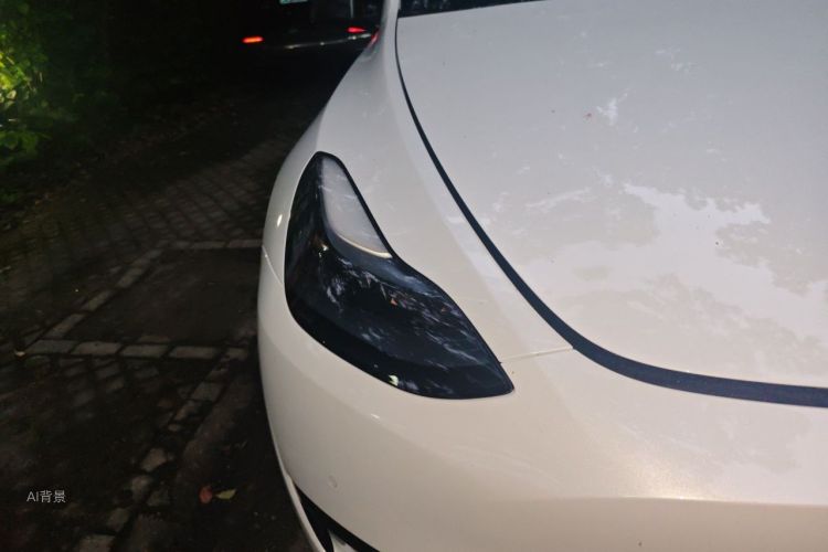 Tesla Model Y 2022 #8 Tesla Model Y 2022 car image #8