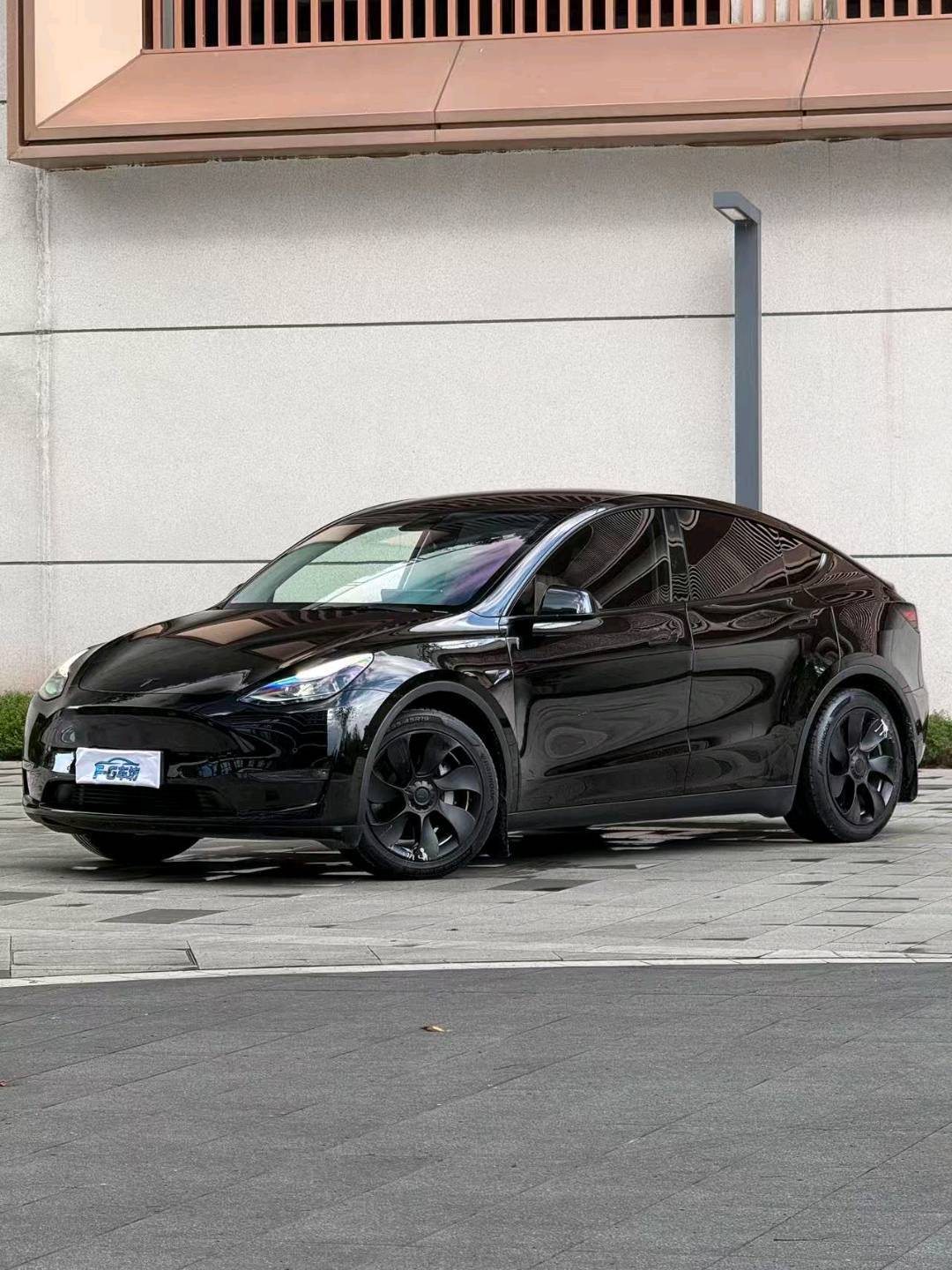 Tesla Model Y 2021 Tesla Model Y 2021 car image