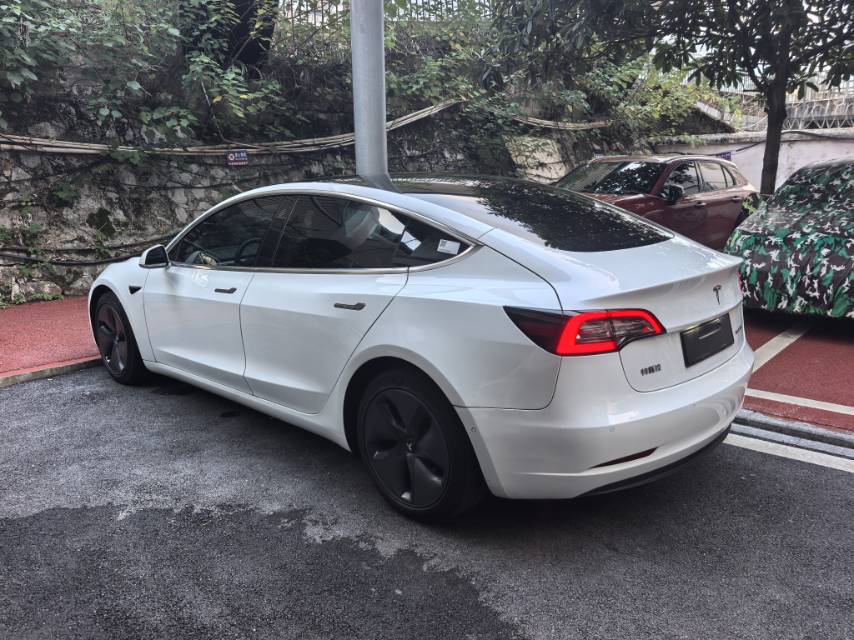 Tesla Model 3 2020 #5 Tesla Model 3 2020 car image #5