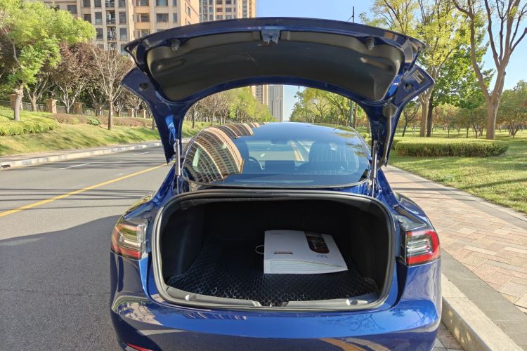 Tesla Model 3 2020 car image #19