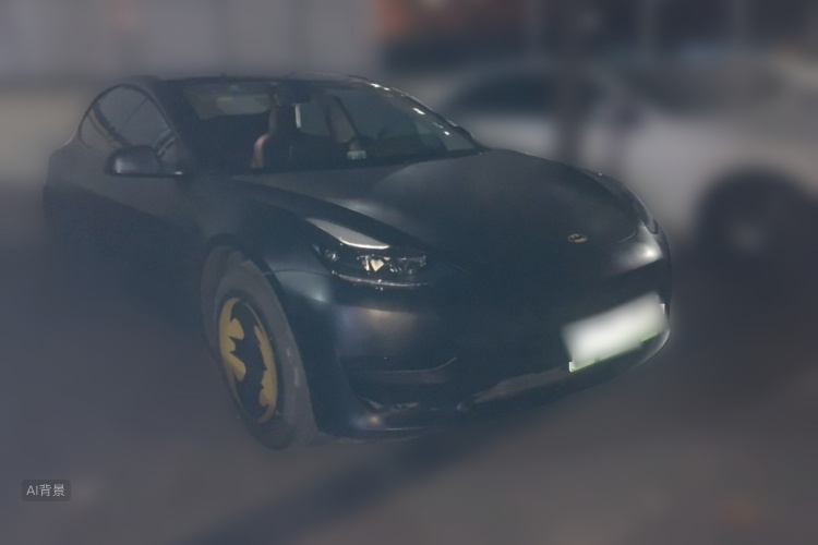 Tesla Model 3 2021 imagem de carro #4