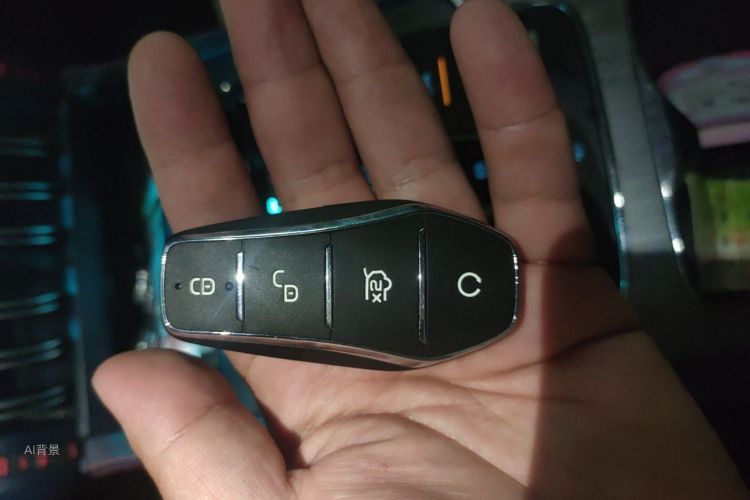 BYD Yuan Plus 2022 car image #10