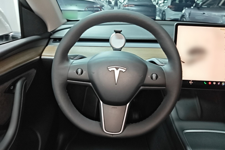 Tesla Model Y 2021 #11 Tesla Model Y 2021 car image #11