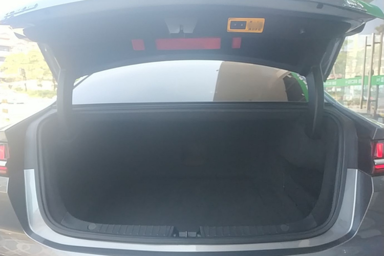 BYD Han 2021 imagen de coche #28