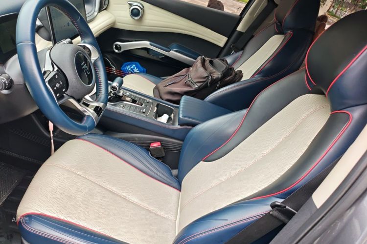 BYD Yuan Plus 2022 #17 BYD Yuan Plus 2022 car image #17