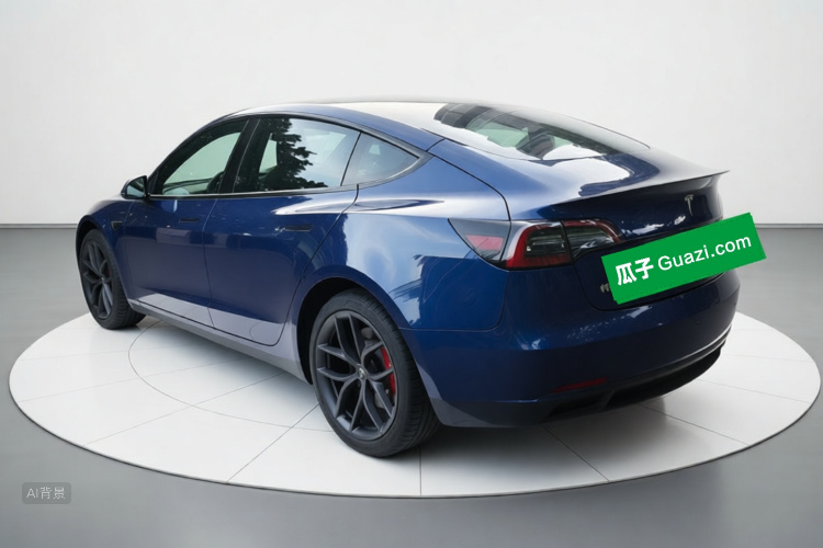 Tesla Model 3 2021 #5 Tesla Model 3 2021 car image #5