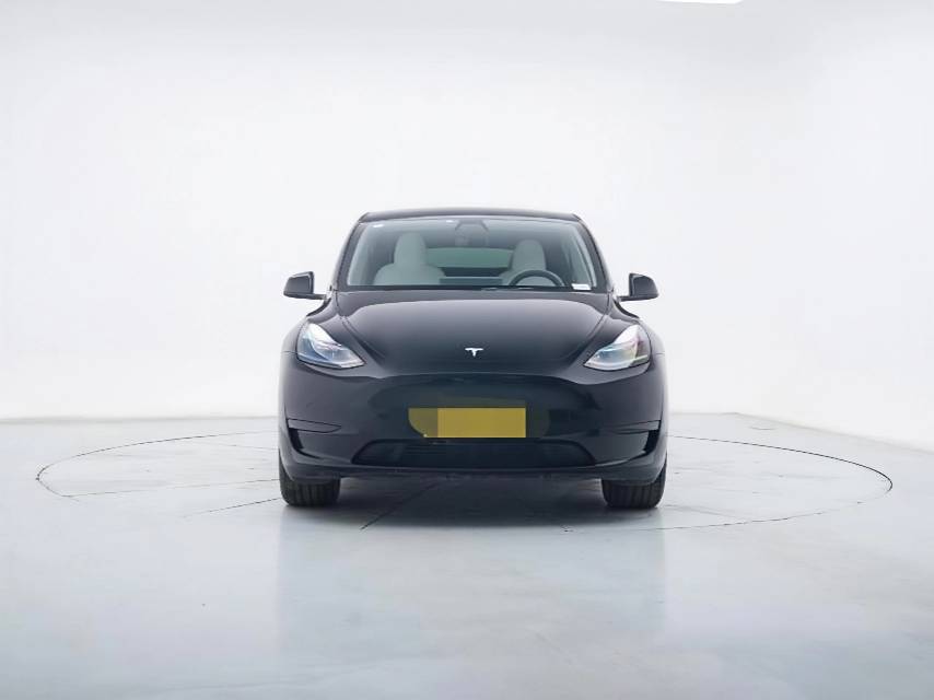Tesla Model Y 2023 immagine di auto #2