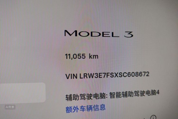 Tesla Model 3 2025 car image #14