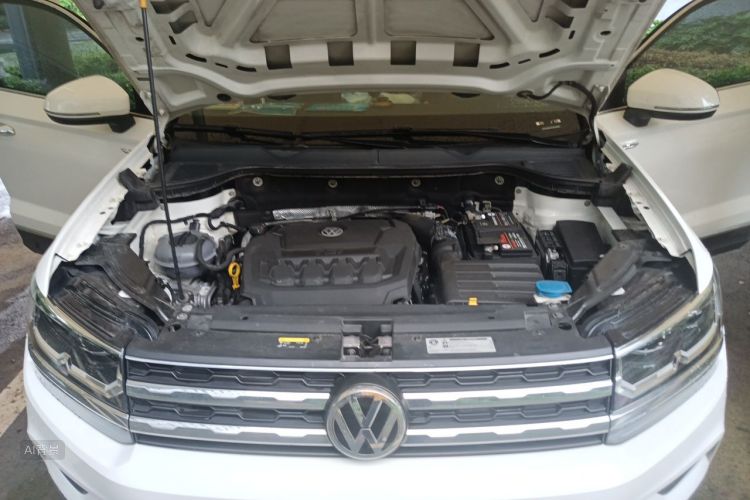 Volkswagen Tharu 2019 car image #22
