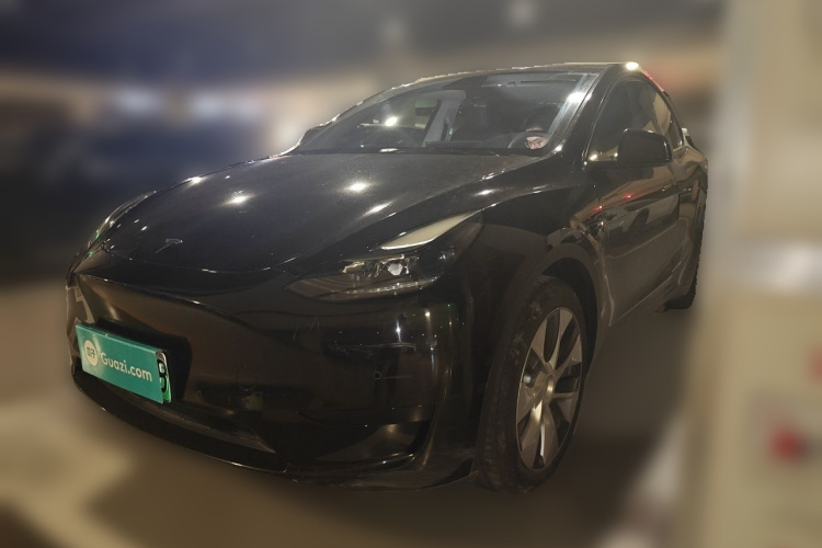 Tesla Model Y 2022 car image #2