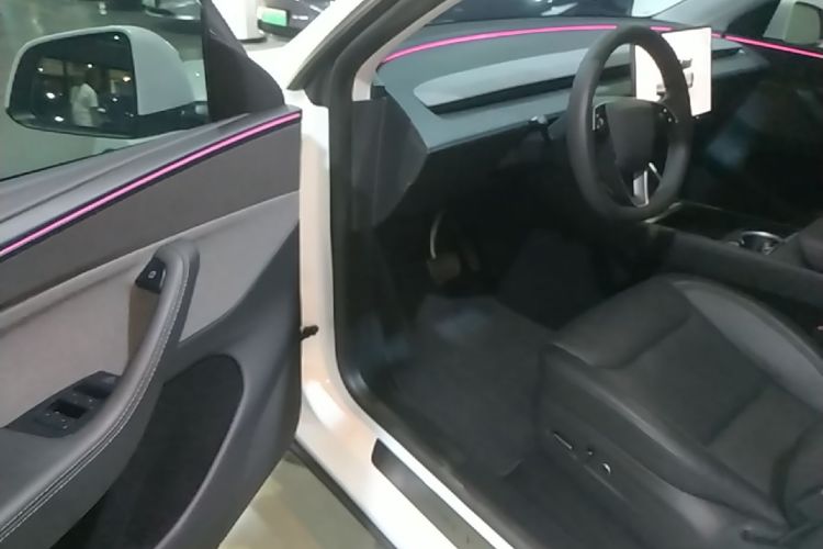Tesla Model Y 2025 car image #16