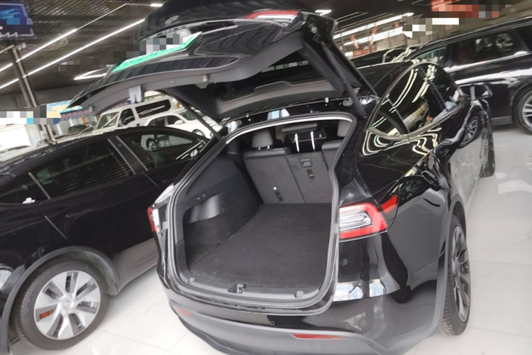Tesla Model Y 2023 #19 Tesla Model Y 2023 car image #19