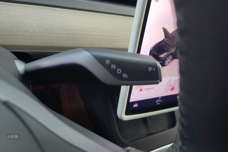 Tesla Model Y 2022 car image #16