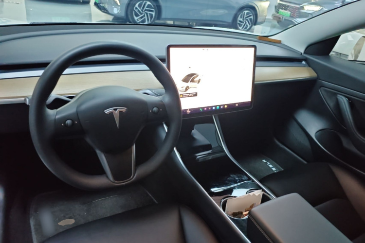 Tesla Model 3 2020 immagine di auto #11