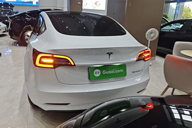 Tesla Model 3 2022 car image #6