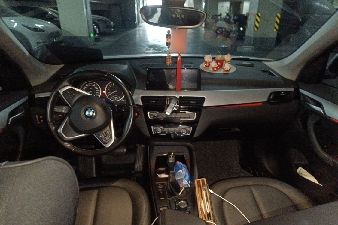 BMW X1 2017 car image #20