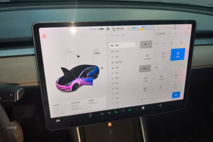 Tesla Model 3 2020 car image #13