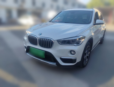 BMW X1 2019 immagine di auto 