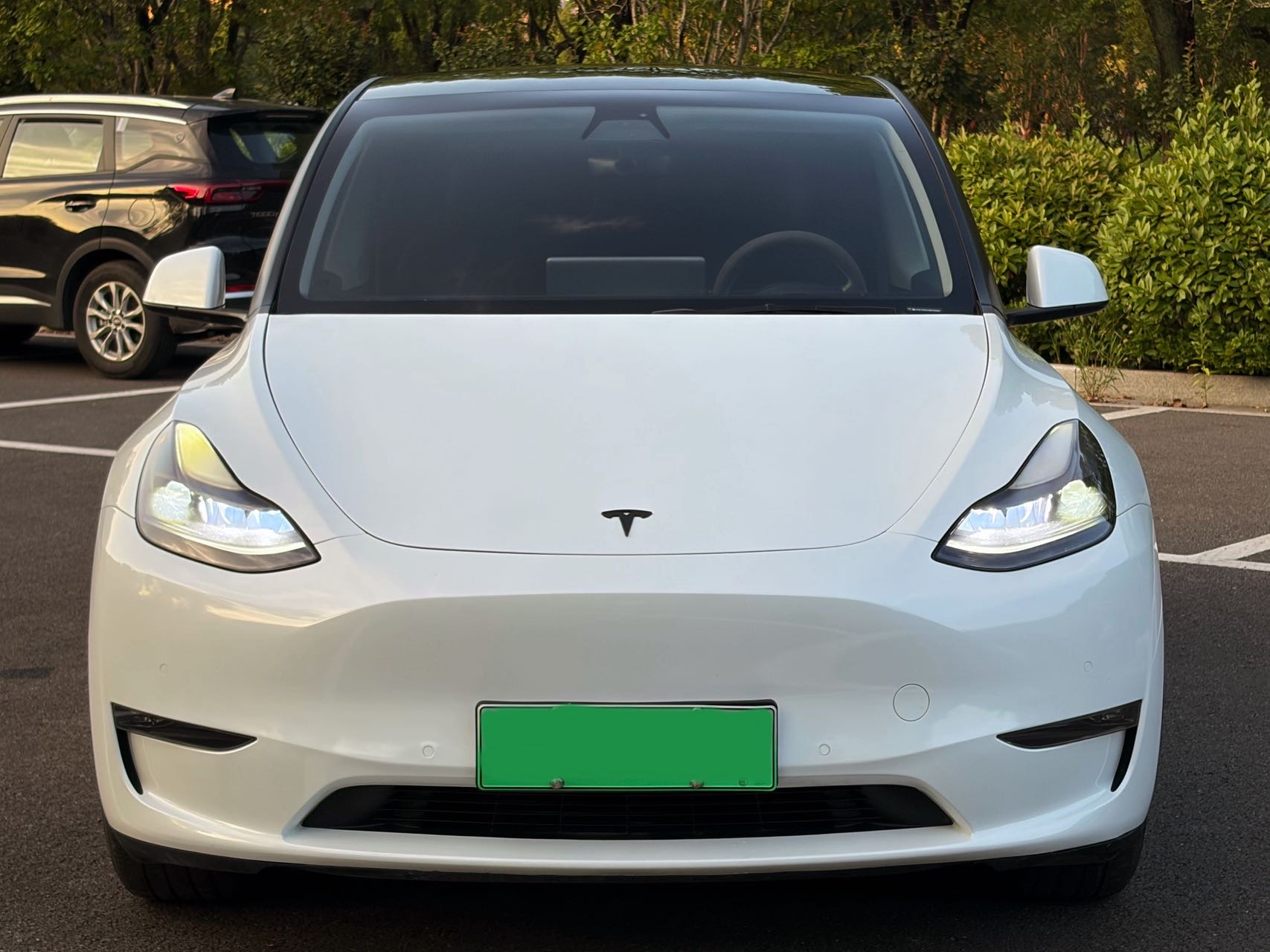 Tesla Model Y 2021 car image #2
