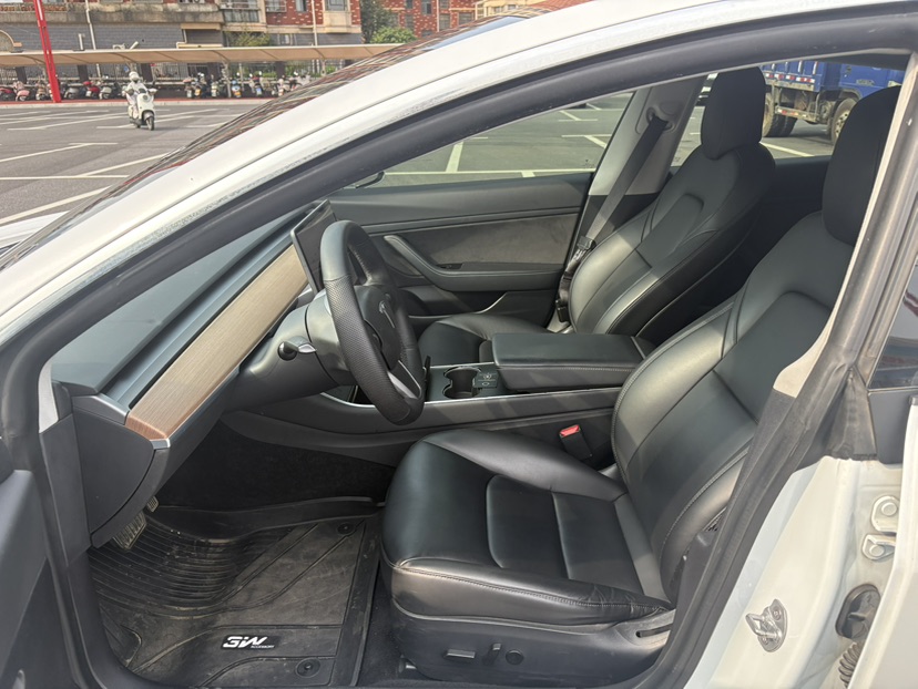 Tesla Model 3 2020 car image #8