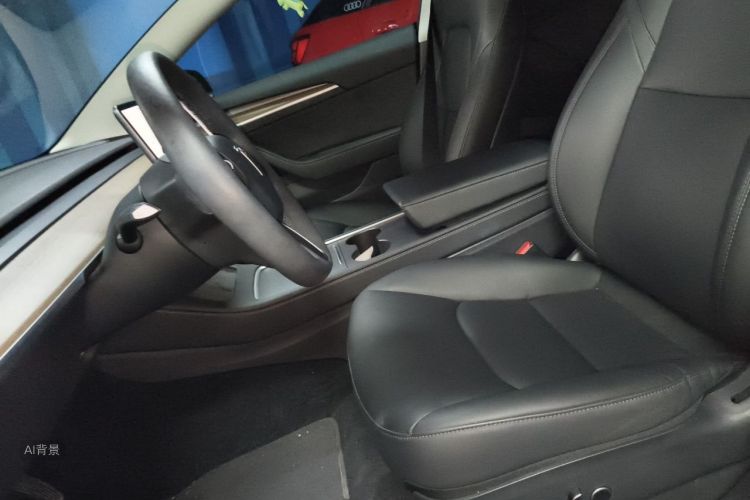 Tesla Model 3 2021 car image #17
