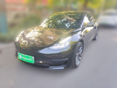 Tesla Model 3 2022 Tesla Model 3 2022 car image