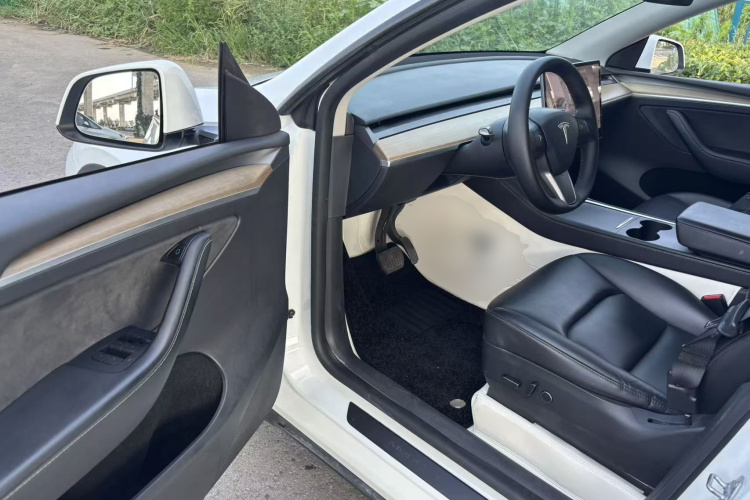 Tesla Model Y 2021 car image #16