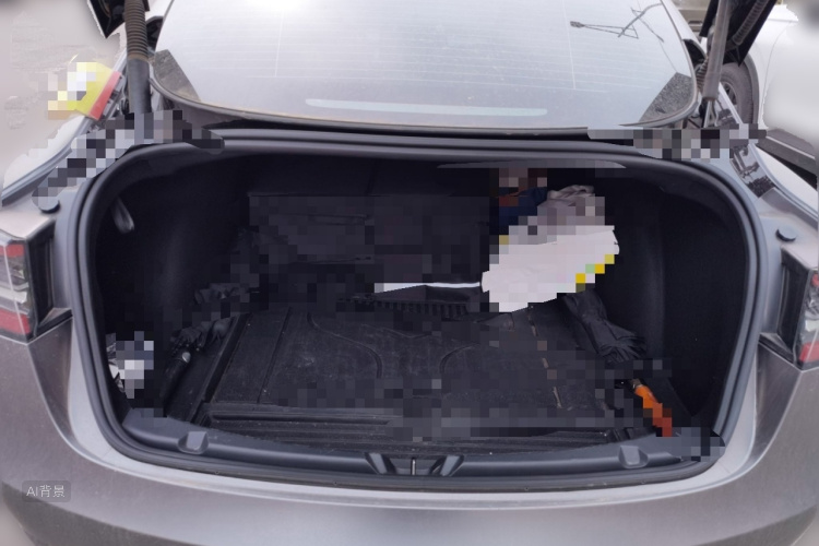 Tesla Model 3 2021 car image #21